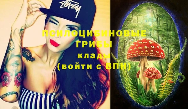 дурь Белоозёрский