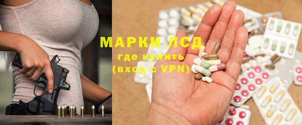 прущие грибы Беломорск