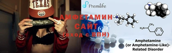 прущие грибы Беломорск