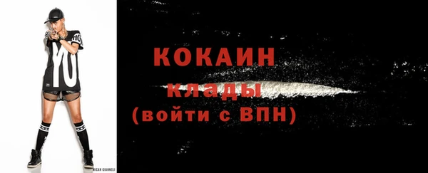 прущие грибы Беломорск