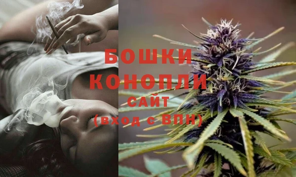 PSILOCYBIN Белокуриха