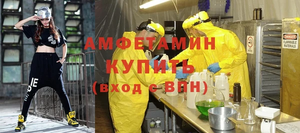 прущие грибы Беломорск