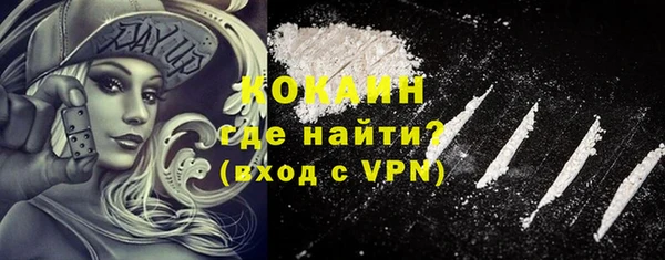 прущие грибы Беломорск