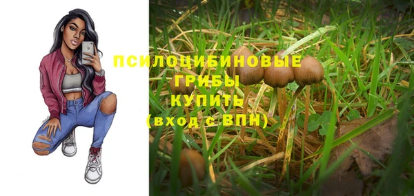 прущие грибы Беломорск