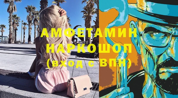 прущие грибы Беломорск