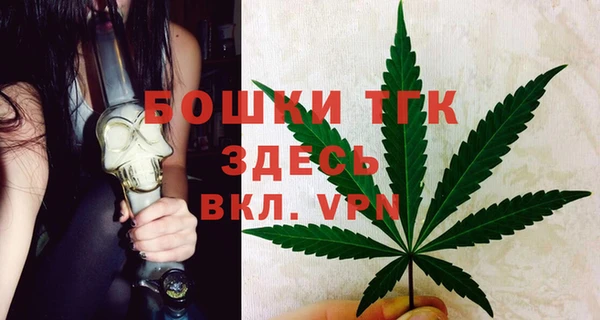 PSILOCYBIN Белокуриха