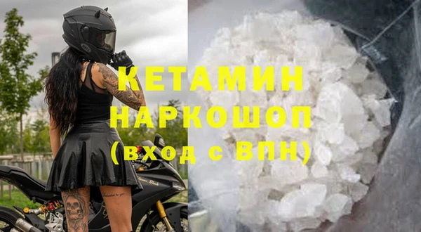 прущие грибы Беломорск