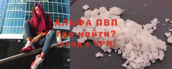 PSILOCYBIN Белокуриха