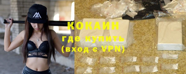 прущие грибы Беломорск