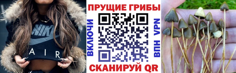 магазин продажи наркотиков  Калининец  Галлюциногенные грибы Magic Shrooms 